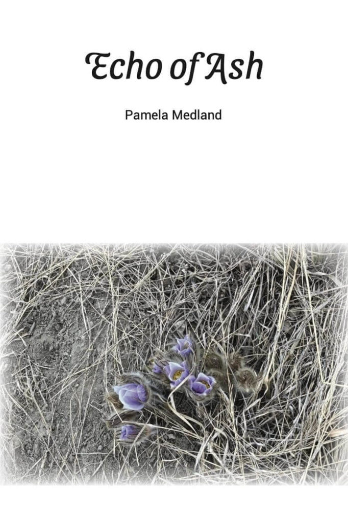 Review of Pamela Medland's 