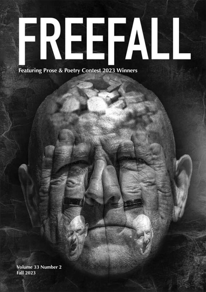 FreeFall Volume 33 Number 2 cover