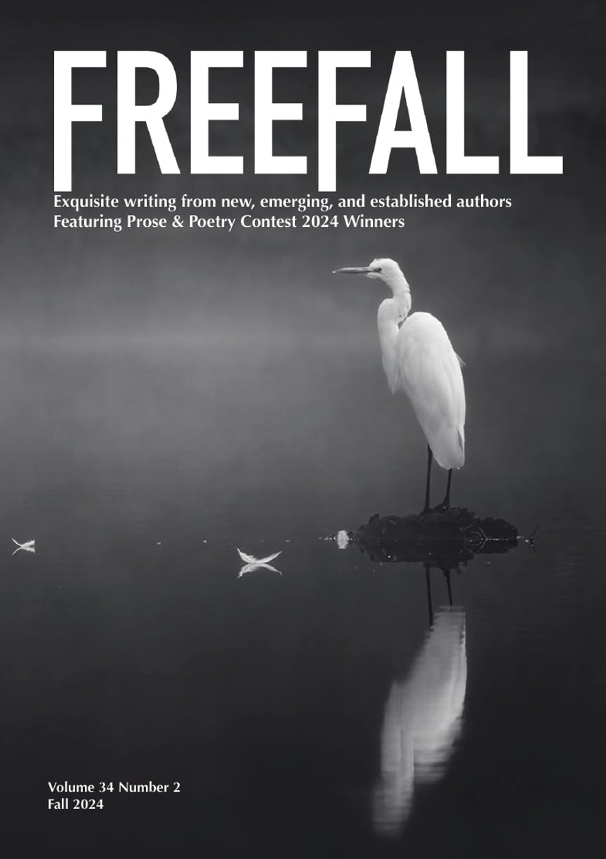 FreeFall Vol 34 No 2 Cover