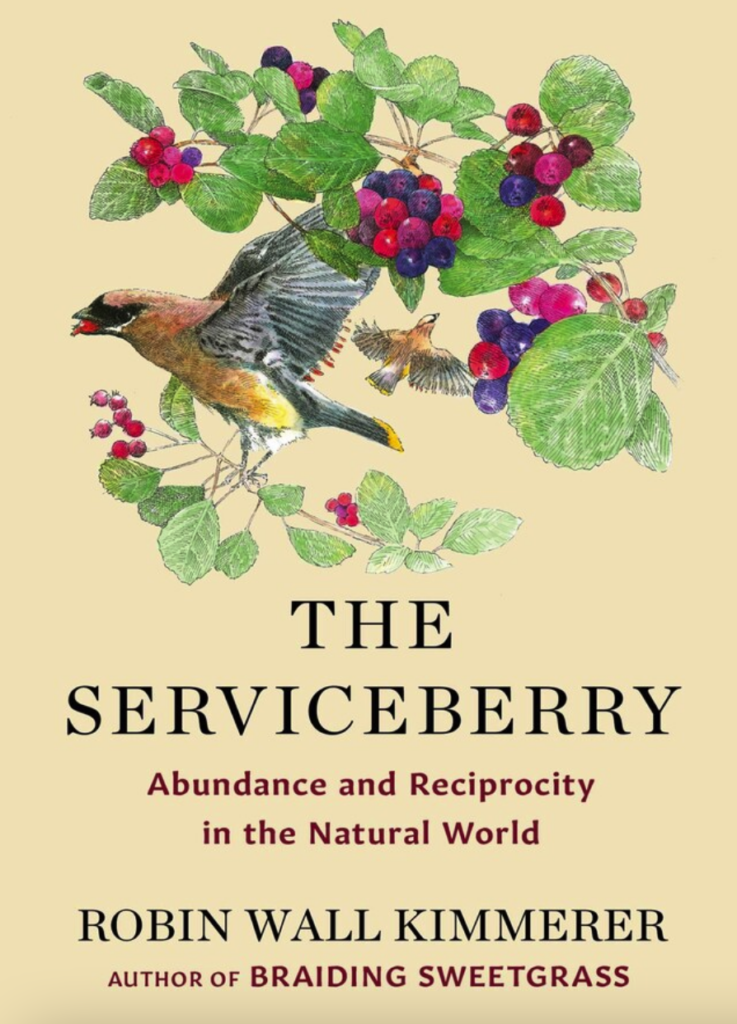 Review of Robin Wall Kimmerer's 