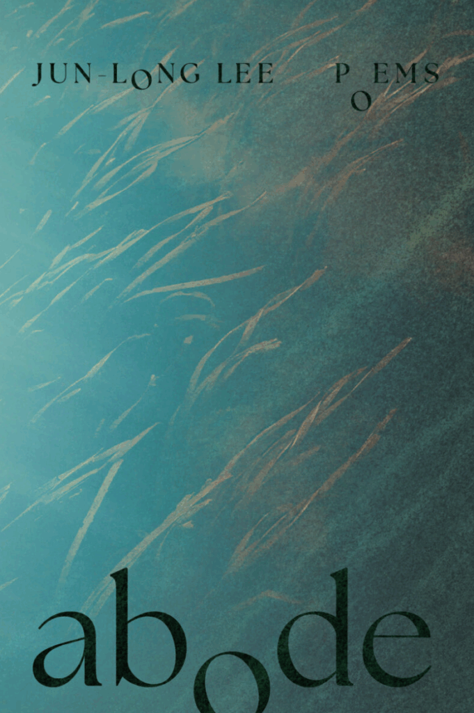 Review of Jun Long Lee's 